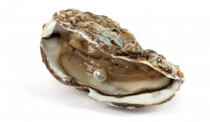 Oyster-pearl